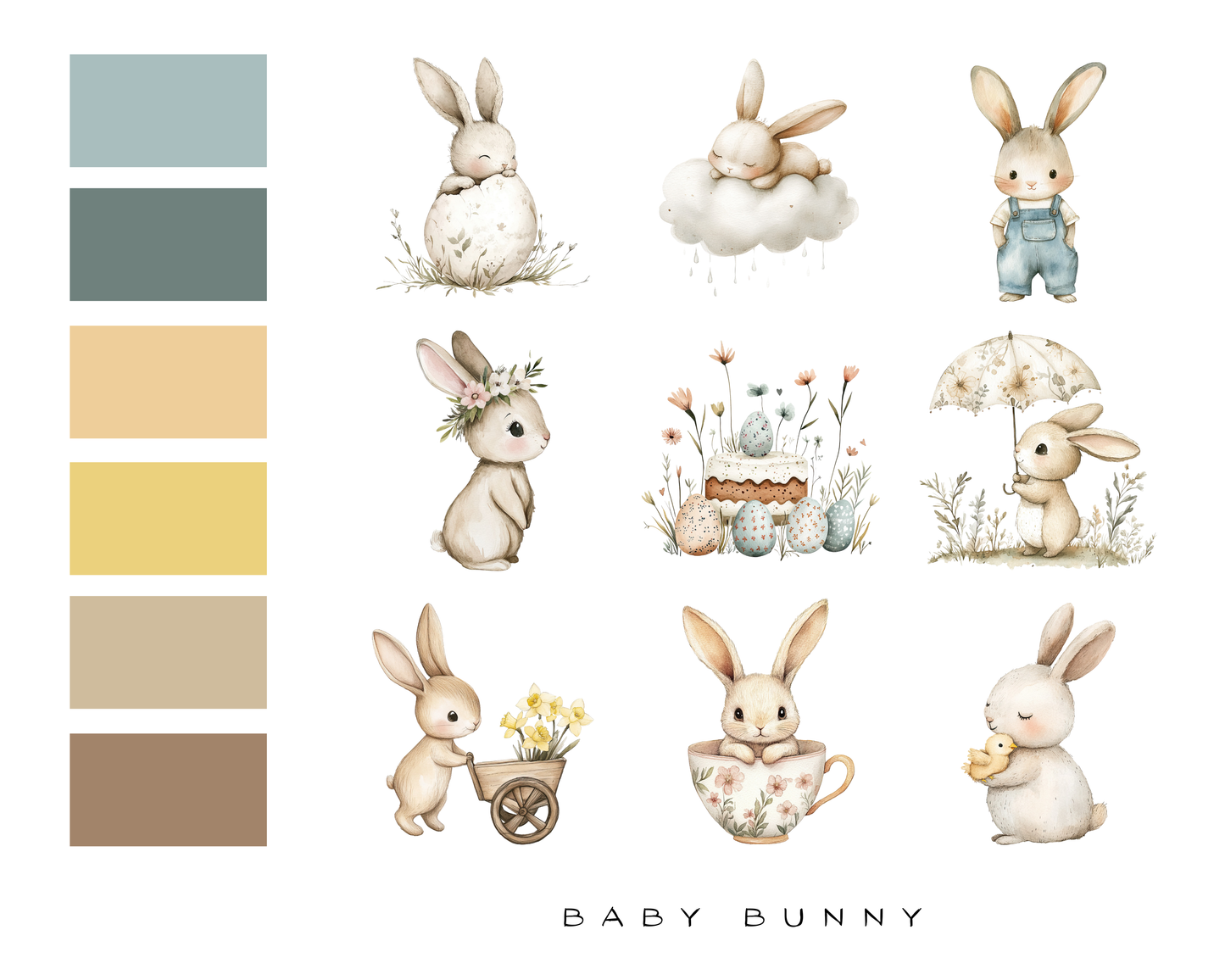 Baby Bunny