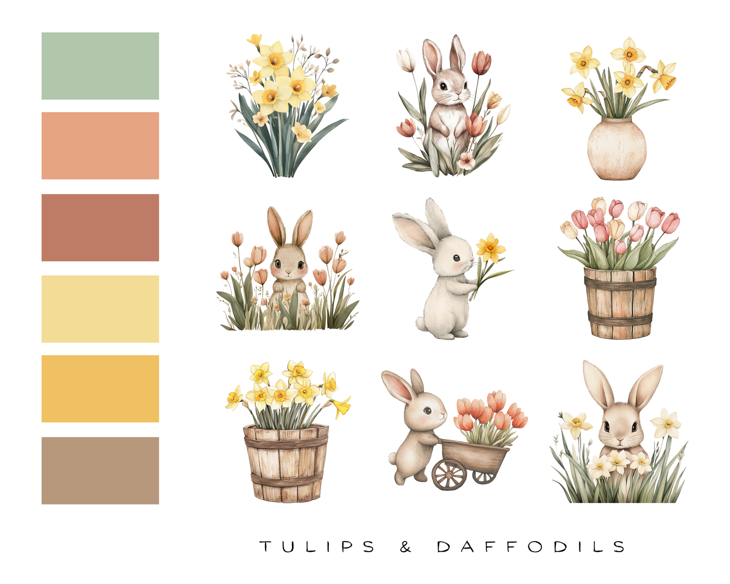 Tulips & Daffodils